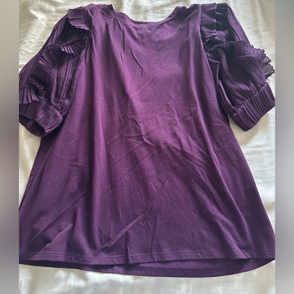 Express Deep Purple Blouse with Ruffle Sleeves